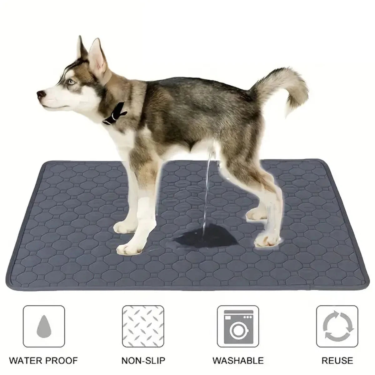 Tapete Higiênico Absorvente Lavável e Reutilizável para Cães e Gatos