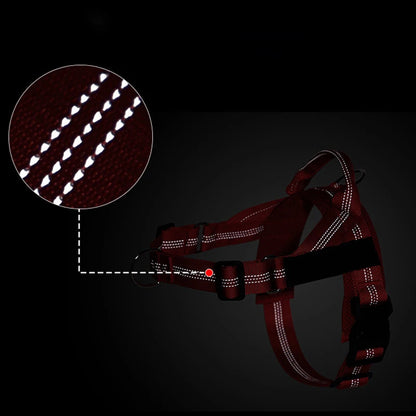 Personalized Reflective No Pull Harness for Small Medium Dog Washable Explosion-proof Comfort Dog Harnesses Pechera Para Perro
