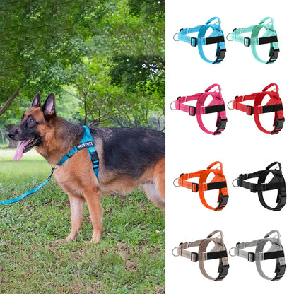 Personalized Reflective No Pull Harness for Small Medium Dog Washable Explosion-proof Comfort Dog Harnesses Pechera Para Perro