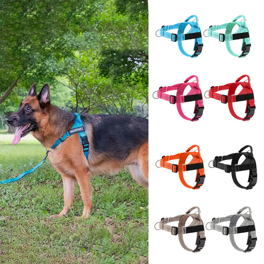 Personalized Reflective No Pull Harness for Small Medium Dog Washable Explosion-proof Comfort Dog Harnesses Pechera Para Perro
